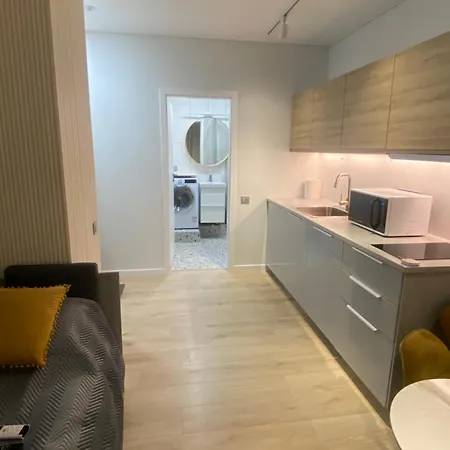 Butas Palangos Centre Apartment